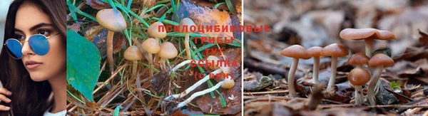 спайс Бронницы