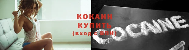 прущая мука Бородино