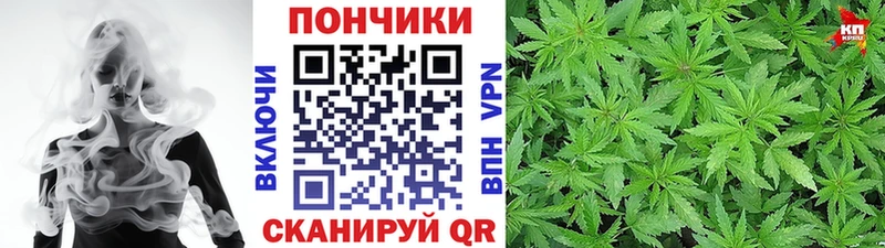 Каннабис Amnesia  продажа наркотиков  Ульяновск 